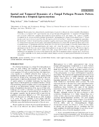 Spatial and Temporal Dynamics of a Fungal Pathogen Promote Pattern Formation in a Tropical Agroecosystem