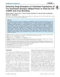 Detecting Deep Divergence in Seventeen Populations of Tea Geometrid (Ectropis Obliqua Prout) in China by COI Mtdna and Cross-Breeding