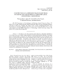 Neuroptera.Pdf