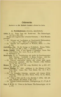 Odonata. Robert Lucas