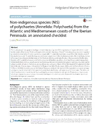 Of Polychaetes (Annelida: Polychaeta) from the Atlantic and Mediterranean Coasts of the Iberian Peninsula: an Annotated Checklist E