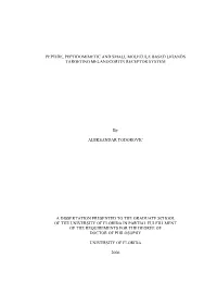Peptide, Peptidomimetic and Small Molecule Based Ligands Targeting Melanocortin Receptor System