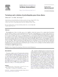 Variations and Evolution of Polyubiquitin Genes from Ciliates