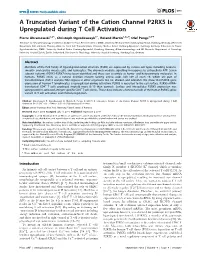 A Truncation Variant of the Cation Channel P2RX5 Is Upregulated During T Cell Activation