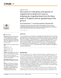 Crustacea: Amphipoda: Dogielinotidae) from the Nipa Palm in Thailand, with an Updated Key to the Genera