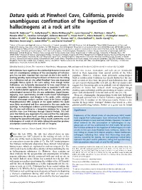 Datura Quids at Pinwheel Cave, California, Provide Unambiguous Confirmation of the Ingestion of Hallucinogens at a Rock Art Site