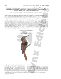 Description: Inambari Woodcreeper (Lepidocolaptes