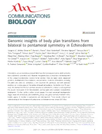 Genomic Insights of Body Plan Transitions from Bilateral to Pentameral Symmetry in Echinoderms