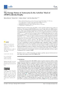 The Energy Status of Astrocytes Is the Achilles' Heel of Eif2b