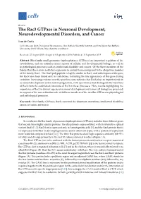 The Rac3 Gtpase in Neuronal Development, Neurodevelopmental Disorders, and Cancer