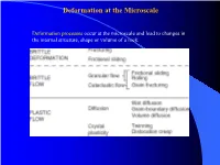 Deformation at the Microscale