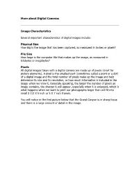 More About Digital Cameras Image Characteristics Several Important