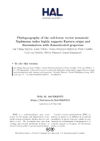 Phylogeography of the Soil-Borne Vector Nematode
