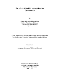 The Effect of Bacillus Larvicidal Toxins on Mammals