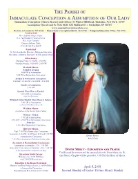 The Parish of Immaculate Conception & Assumption of Our Lady
