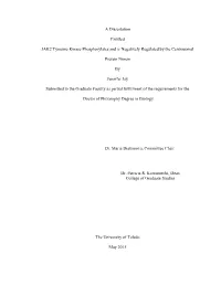 A Dissertation Entitled JAK2 Tyrosine Kinase Phosphorylates and Is