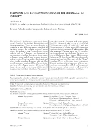 Imp Introduzione Ibex 3