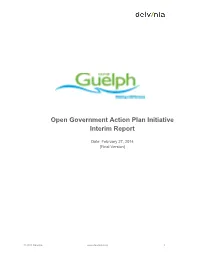Open Government Action Plan Initiative Interim Report