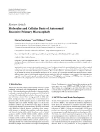 Review Article Molecular and Cellular Basis of Autosomal Recessive Primary Microcephaly