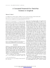 A Conceptual Framework for Clutch-Size Evolution in Songbirds