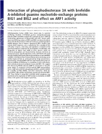 Interaction of Phosphodiesterase 3A with Brefeldin A-Inhibited Guanine Nucleotide-Exchange Proteins BIG1 and BIG2 and Effect on ARF1 Activity