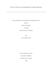 Drivers of Stream Fish Assemblages and Trophic Interactions