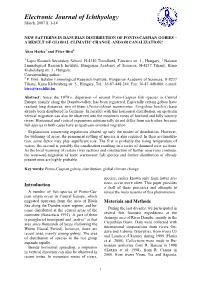 Harkabiro.Pdf