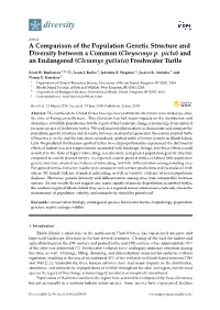 A Comparison of the Population Genetic Structure and Diversity Between a Common (Chrysemys P