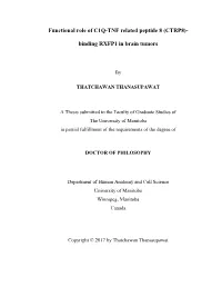 Binding RXFP1 in Brain Tumors
