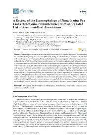 Brachyura: Pinnotheridae), with an Updated List of Symbiont-Host Associations