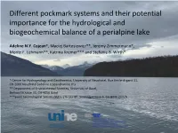 Different Pockmark Systems and Their Potential Importance for the Hydrological and Biogeochemical Balance of a Perialpine Lake