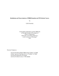 Identification and Characterization of TPRKB Dependency in TP53 Deficient Cancers
