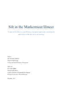 Silt in the Markermeer/Ijmeer