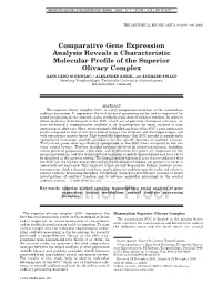 Comparative Gene Expression Analysis Reveals a Characteristic Molecular Proﬁle of the Superior Olivary Complex