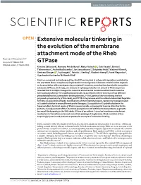Extensive Molecular Tinkering in the Evolution of the Membrane Attachment Mode of the Rheb Gtpase