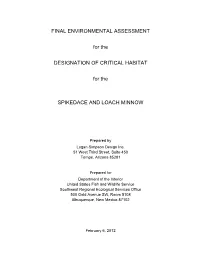 Final Environmental Assessment for the Designation of Critical Habitat for the Spikedace and Loach Minnow