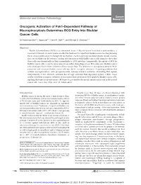 Oncogenic Activation of Pak1-Dependent Pathway of Macropinocytosis Determines BCG Entry Into Bladder Cancer Cells