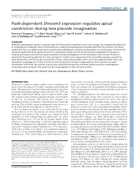 Pax6-Dependent Shroom3 Expression Regulates Apical Constriction During Lens Placode Invagination Timothy F