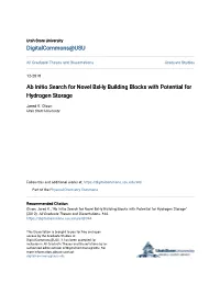 Ab Initio Search for Novel Bxhy Building Blocks with Potential for Hydrogen Storage