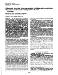 Chloroplast Molecular Chaperone-Assisted Refolding and Reconstitution of an Active Multisubunit Coupling Factor CF1 Core (Atpse/Asembly) GEOFFREY G