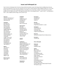 Insect and Arthropod List