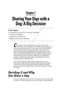 Sharing Your Digs with a Dog: a Big Decision