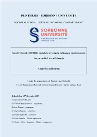 Phd THESIS – SORBONNE UNIVERSITE