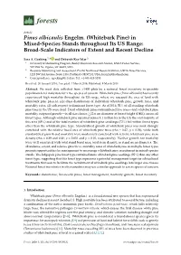 Pinus Albicaulis Engelm. (Whitebark Pine) in Mixed-Species Stands Throughout Its US Range: Broad-Scale Indicators of Extent and Recent Decline