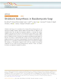Strobilurin Biosynthesis in Basidiomycete Fungi