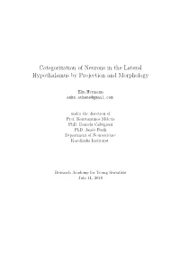 Categorization of Neurons in the Lateral Hypothalamus by Projection and Morphology