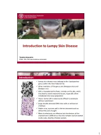 Introduction to Lumpy Skin Disease