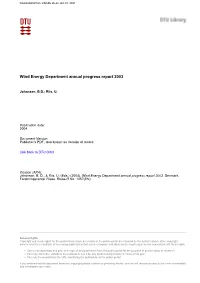 Wind Energy Department Annual Progress Report 2003