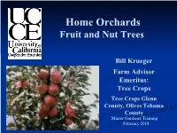 Home Orchards Fruit and Nut Trees