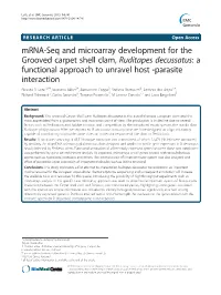 Mrna-Seq and Microarray Development for the Grooved Carpet